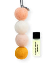 Smelly Balls SUN SEEKER Set - Coconut Lime