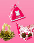 Tea Tonic True Love Tea Balls Lychee - 2 Per Box