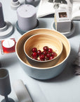 Porter Green | Bebb | Biodegradable Bamboo Bowls | Smoke + Storm