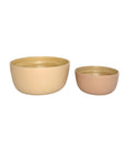 Porter Green | Bebb | Biodegradable Bamboo Bowls | Wheat + Oat